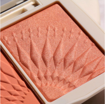 Professional Cheek Makeup Blusher Palette