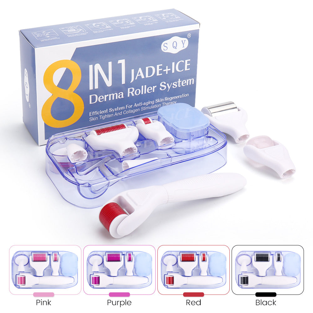 Microneedle Derma Roller Kit
