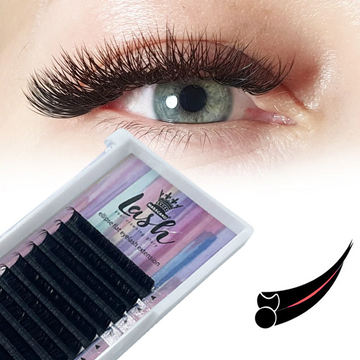 ellipse flat eyelashes extension