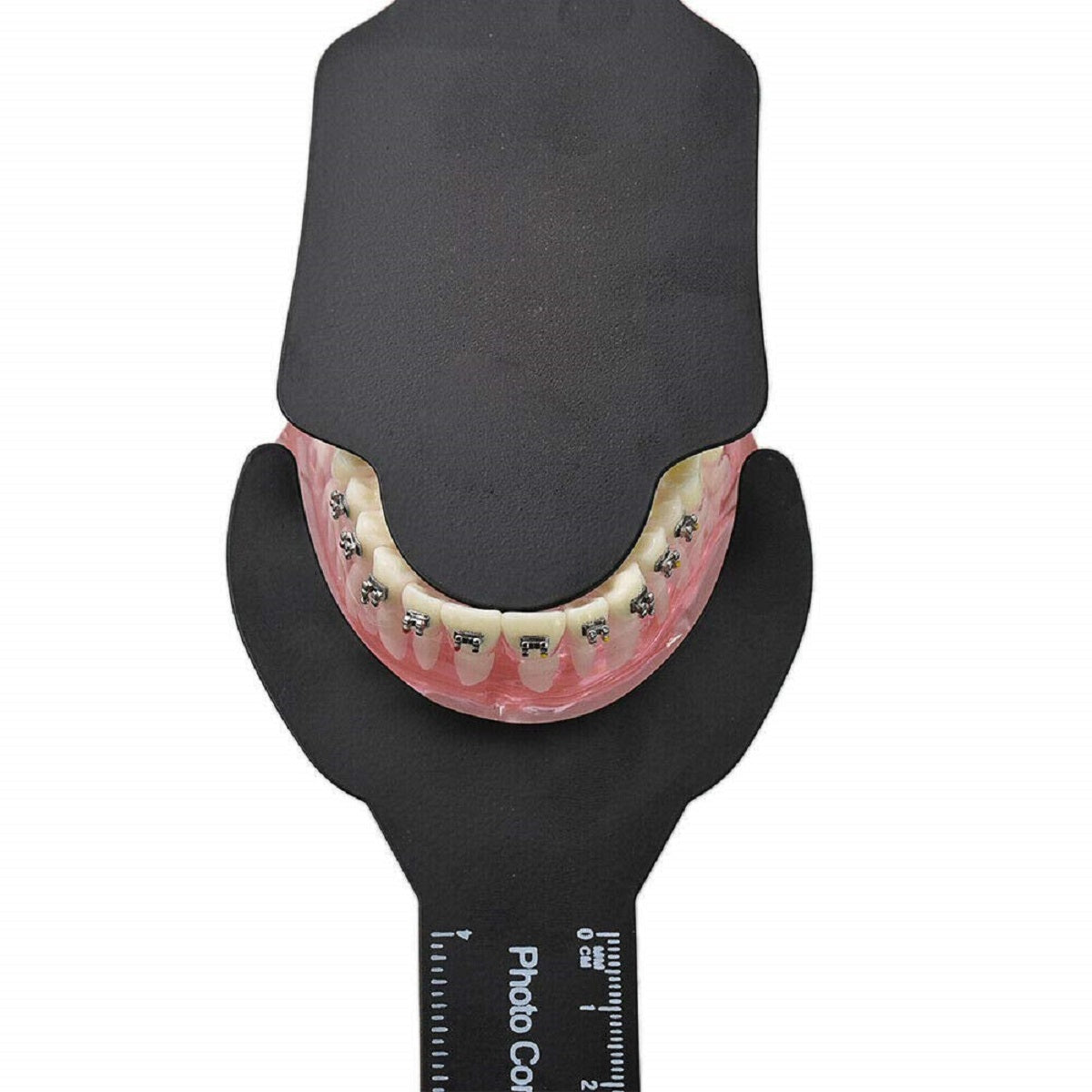 6 Pcs Dental Contraster Photographic Black Background