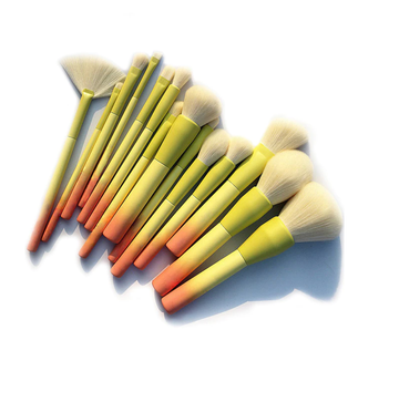 Pro Gradient 14pcs Makeup Brushes Set